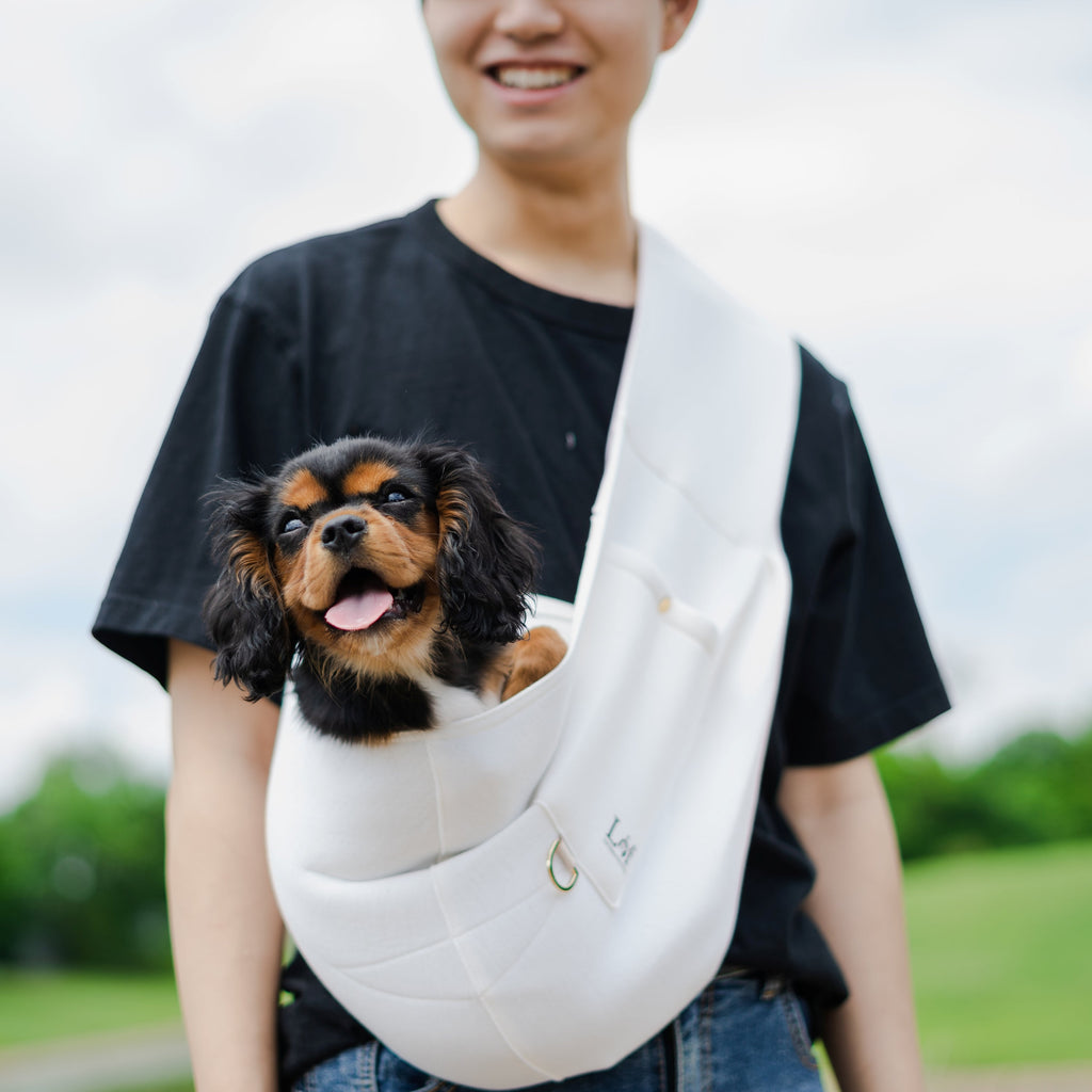Azor Neoprene Pet Sling Carrier — Secure & Stylish Travel For