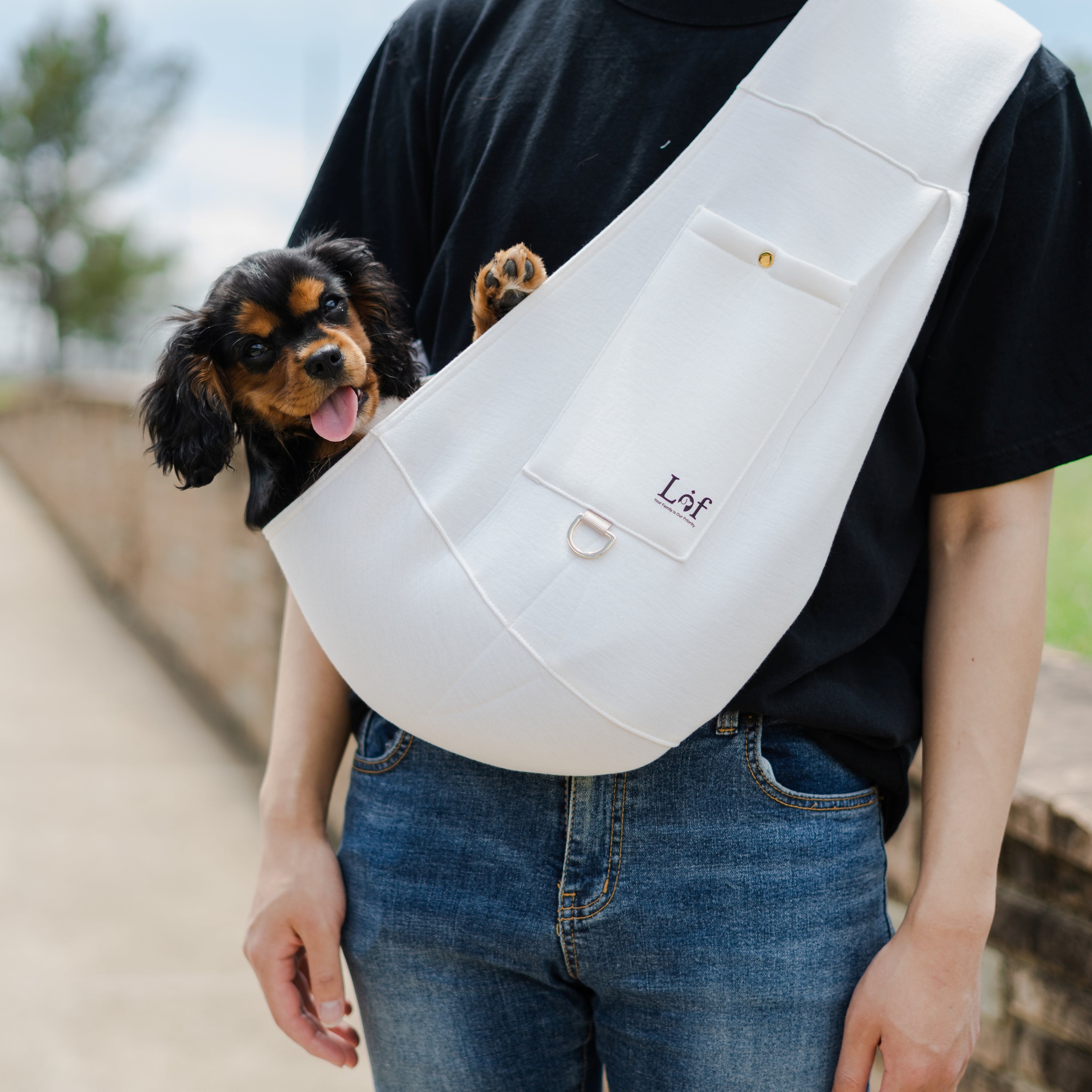 Azor Neoprene Pet Sling Carrier — Secure & Stylish Travel For