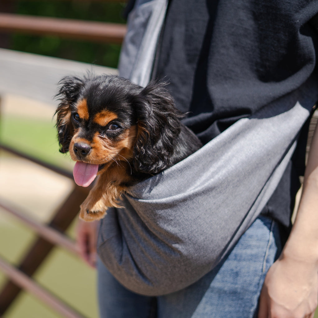 Azor Mesh Pet Sling Bag — Comfortable & Hands-Free Travel For