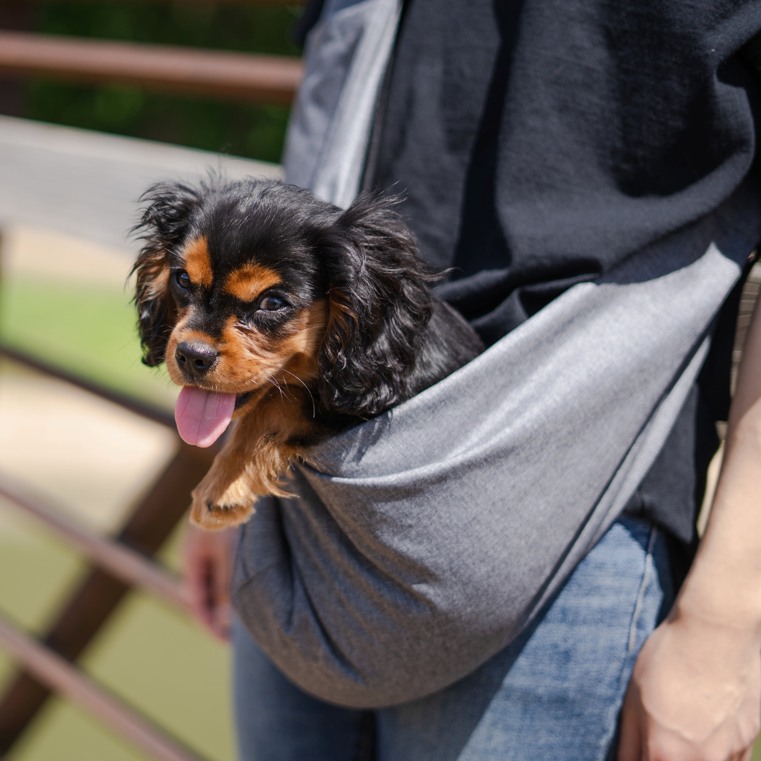 Azor Mesh Pet Sling Bag — Comfortable & Hands-Free Travel For