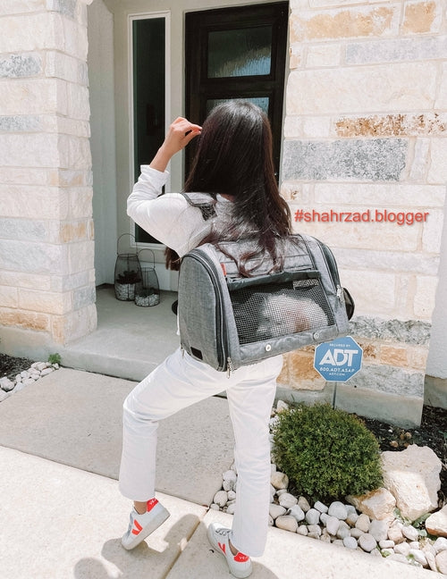 Azor Hideaway Backpack — Pet Carrier